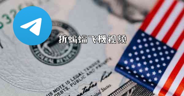 折蝙蝠飞機视频