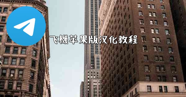 飞機苹果版汉化教程