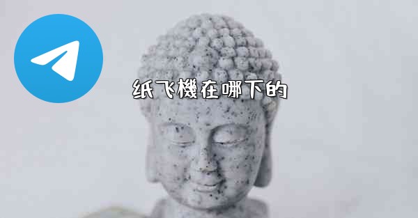 纸飞機在哪下的