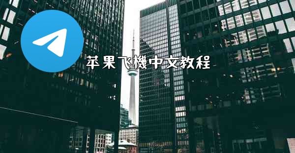 苹果飞機中文教程