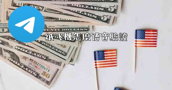 纸飞機怎麼语音驗證