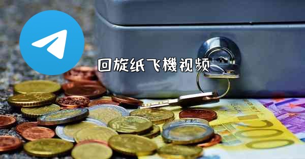 回旋纸飞機视频