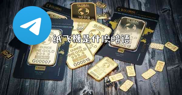 纸飞機是什麼暗语