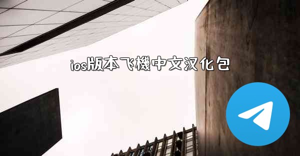 ios版本飞機中文汉化包