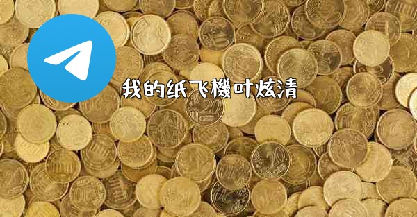 我的纸飞機叶炫清