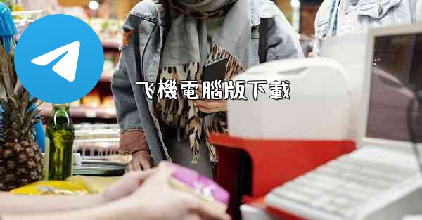 飞機電腦版下載