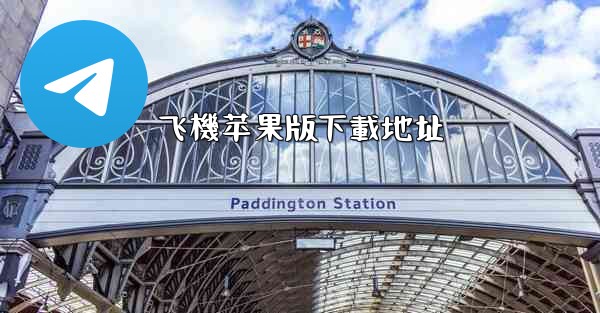 飞機苹果版下載地址