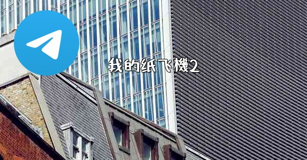 我的纸飞機2