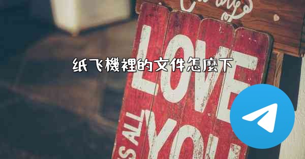 纸飞機裡的文件怎麼下