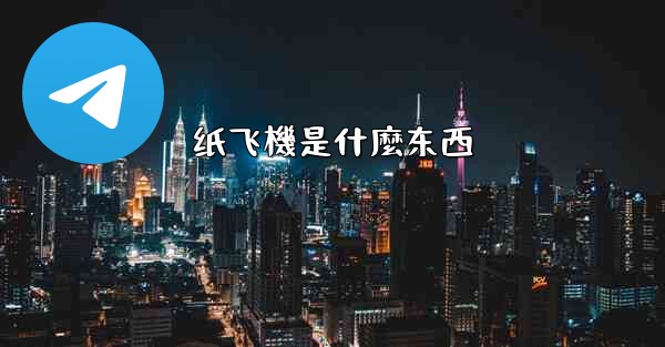 纸飞機是什麼东西