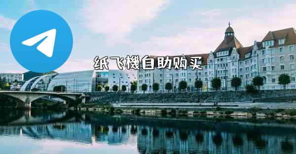 纸飞機自助购买