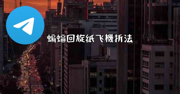 蝙蝠回旋纸飞機折法