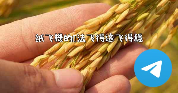 纸飞機的叠法飞得遠飞得穩