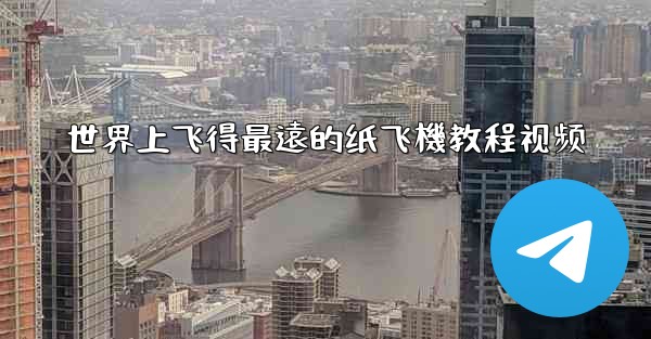 世界上飞得最遠的纸飞機教程视频