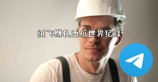 纸飞機扎西瓜世界纪錄