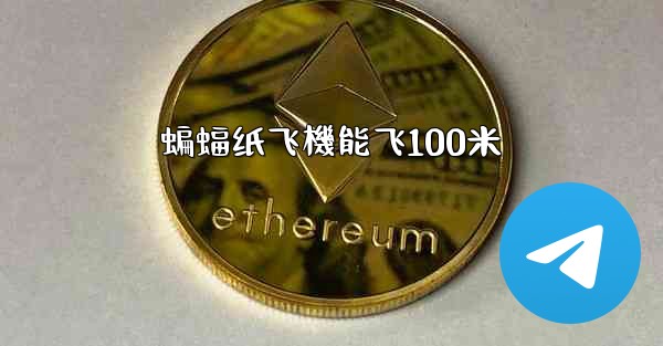 蝙蝠纸飞機能飞100米