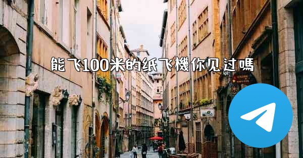 能飞100米的纸飞機你见过嗎