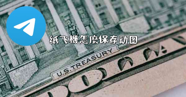 纸飞機怎麼保存动图