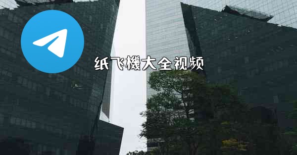 纸飞機大全视频
