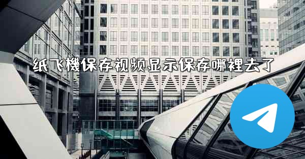 纸飞機保存视频显示保存哪裡去了