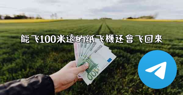能飞100米遠的纸飞機还會飞回來