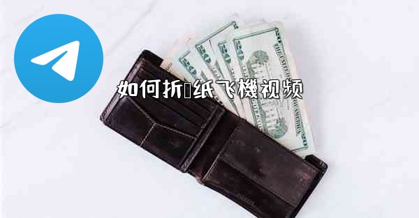 如何折叠纸飞機视频