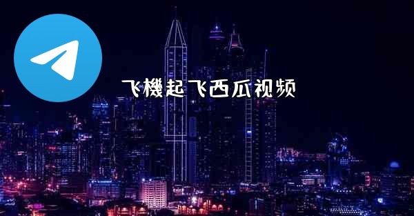 飞機起飞西瓜视频