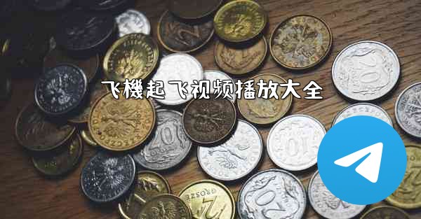 飞機起飞视频播放大全