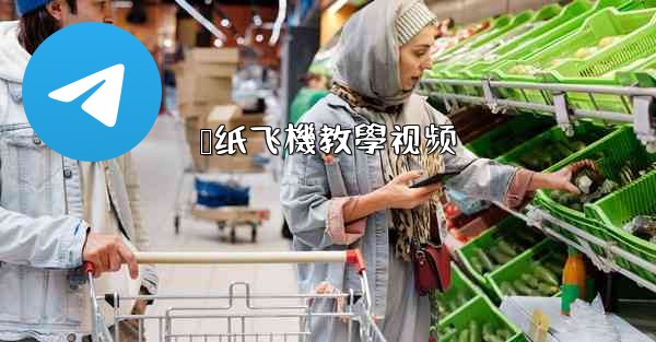 <b>叠纸飞機教學视频</b>