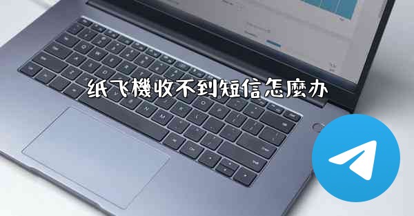 纸飞機收不到短信怎麼办