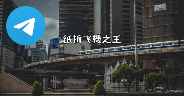纸折飞機之王