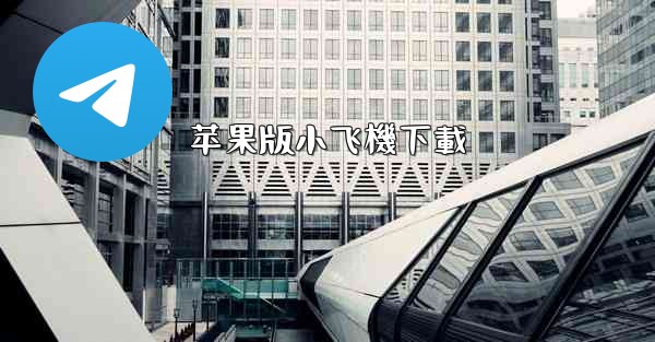 苹果版小飞機下載