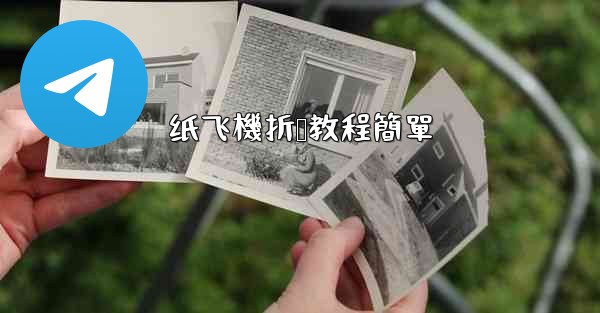 纸飞機折叠教程簡單