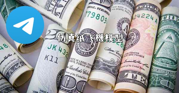 仿真纸飞機模型