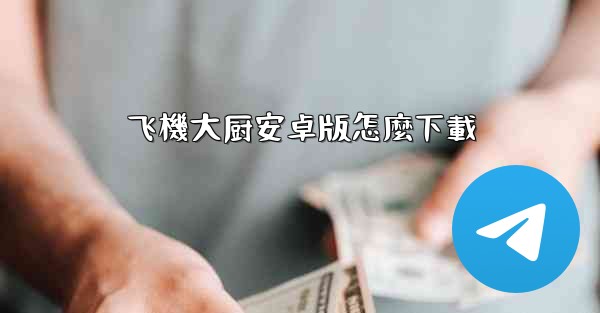 飞機大厨安卓版怎麼下載