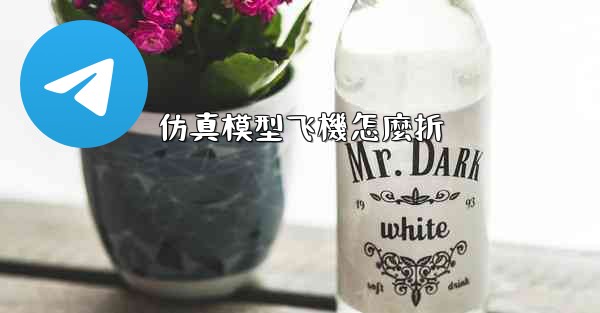 仿真模型飞機怎麼折