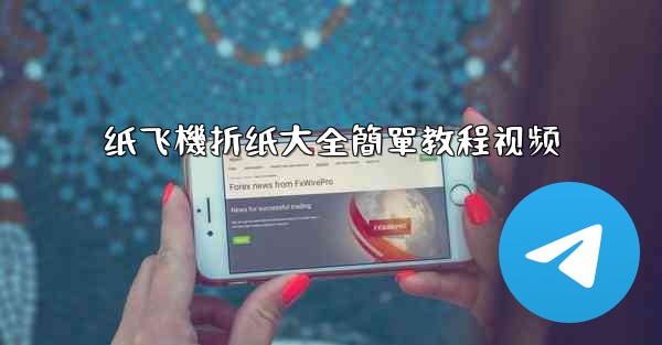 纸飞機折纸大全簡單教程视频