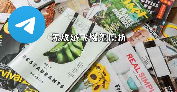 无敌纸飞機怎麼折