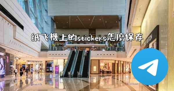 纸飞機上的stickers怎麼保存