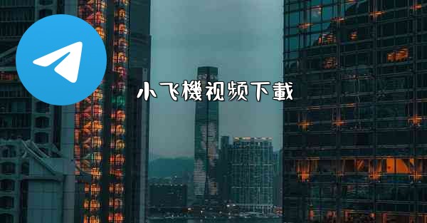 小飞機视频下載