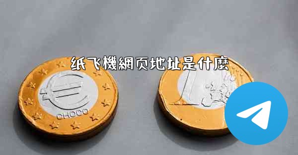 纸飞機網页地址是什麼