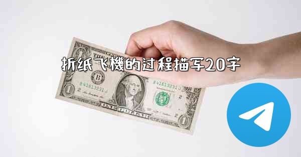 折纸飞機的过程描写20字