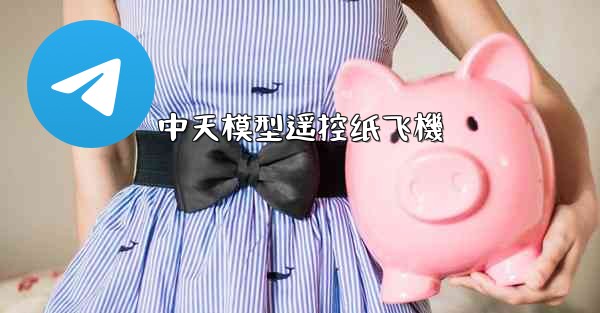 中天模型遥控纸飞機