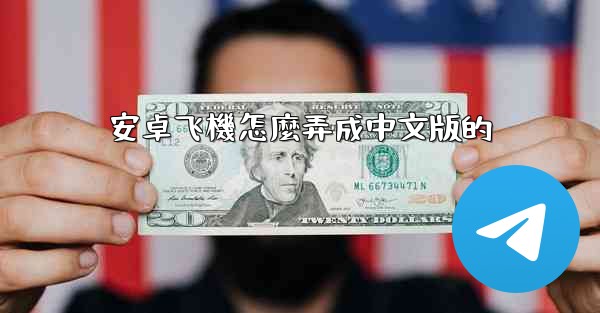 安卓飞機怎麼弄成中文版的