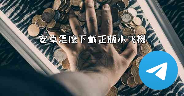 安卓怎麼下載正版小飞機