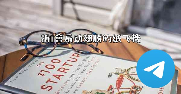 折叠會扇动翅膀的纸飞機