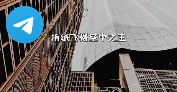 折纸飞機空中之王