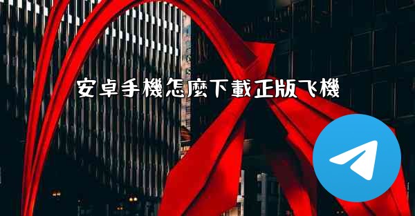 安卓手機怎麼下載正版飞機