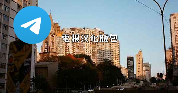 電报汉化版包