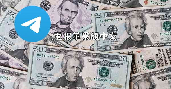 電报苹果版中文